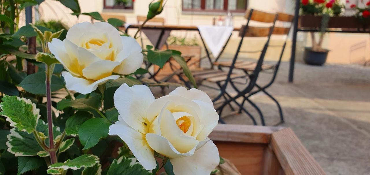 Hotel "Pension Marlis" Garni Reichenberg  Ngoại thất bức ảnh