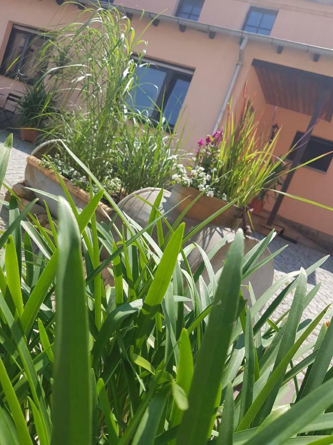 Hotel "Pension Marlis" Garni Reichenberg  Ngoại thất bức ảnh
